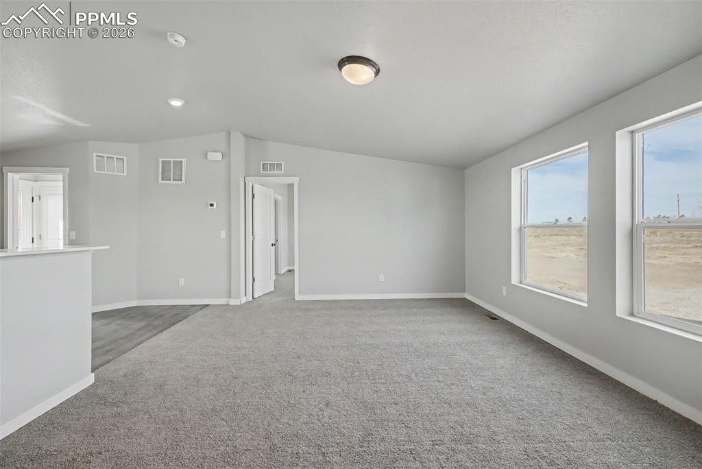 Image 8 of 41: Other