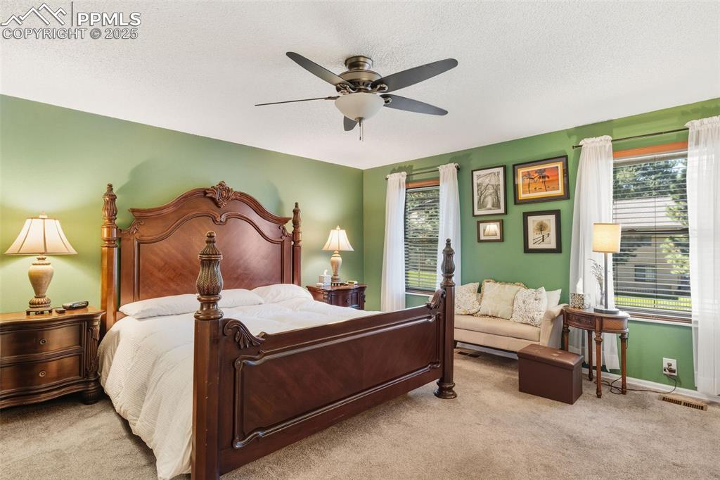 Image 13 of 35: Primary bedroom with thoughtful design and plush carpet