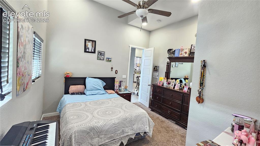 Image 26 of 48: Vaulted ceiling room featuring carpet flooring and multiple windows with ho