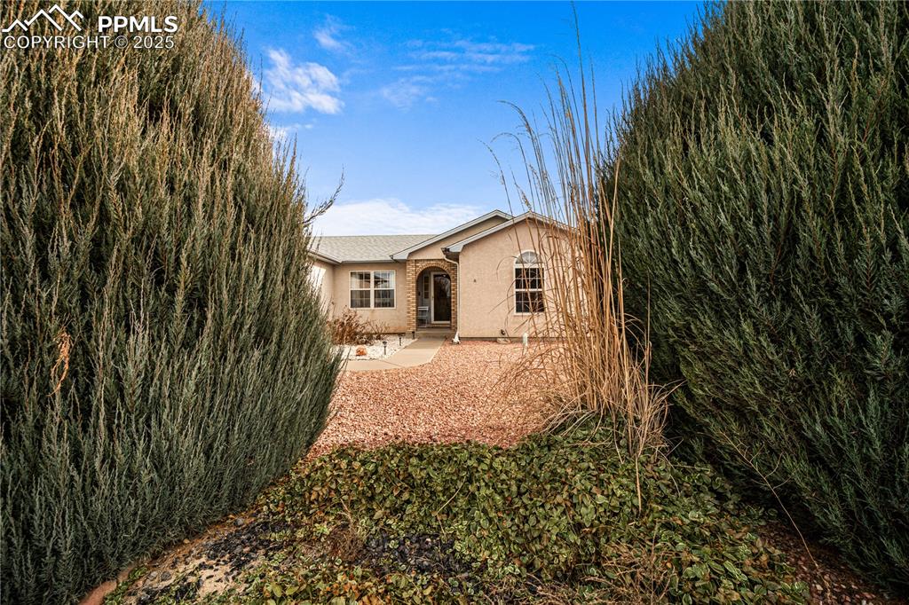 Image 37 of 39: Back of Structure