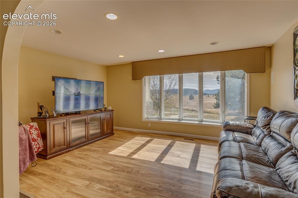 Image 13 of 32: Living room with light wood-style flooring, arched walkways, and recessed l