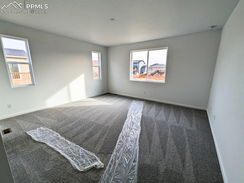 Image 4 of 11: Other