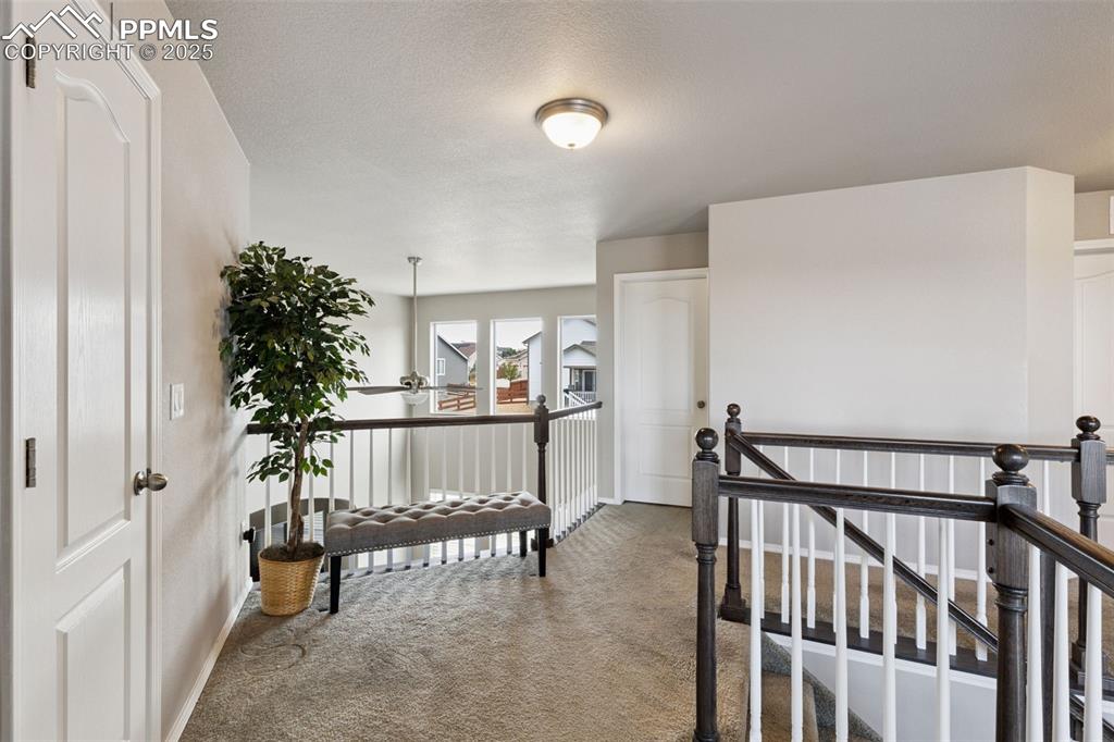 Image 16 of 37: Other