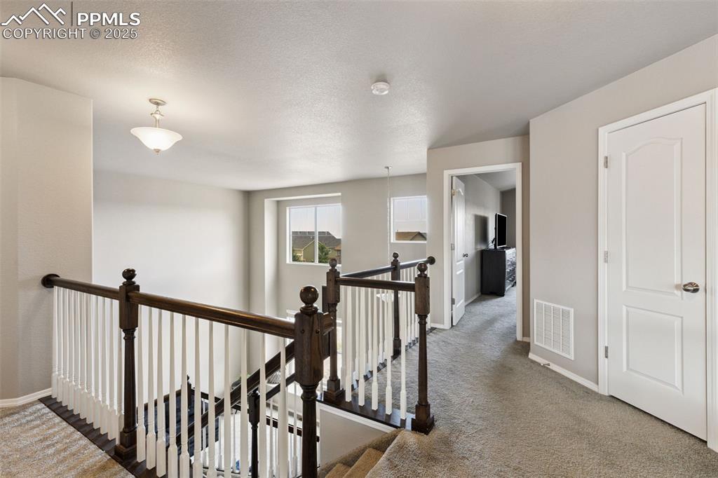 Image 17 of 37: Other