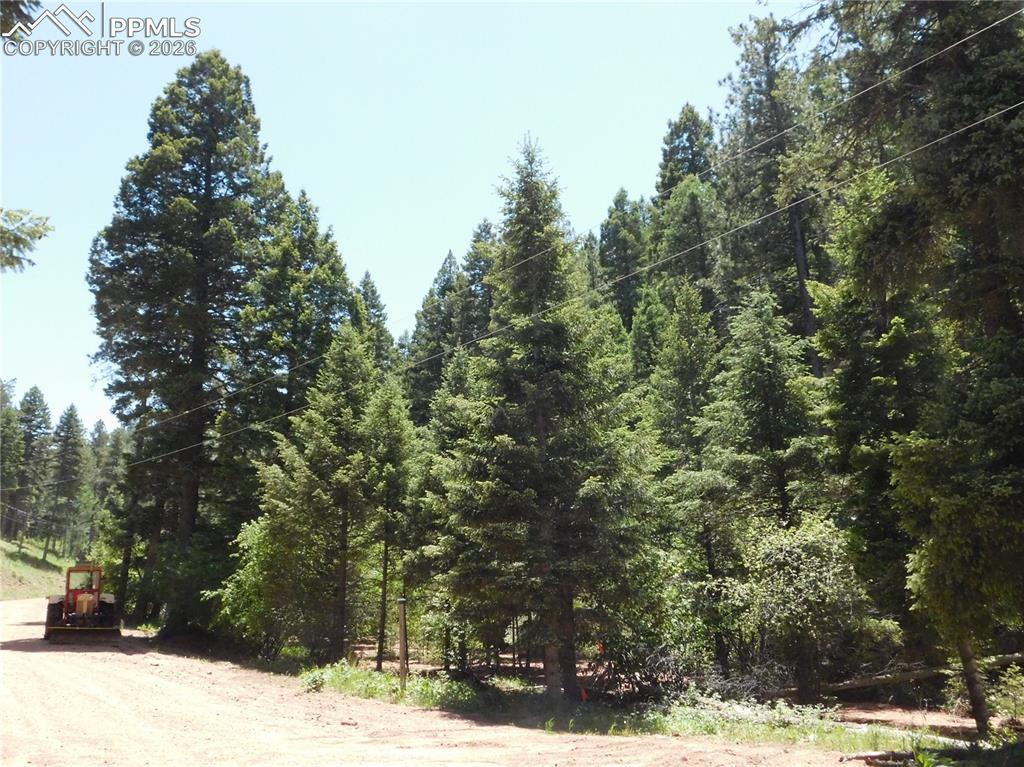 Image 11 of 23: No Description Available