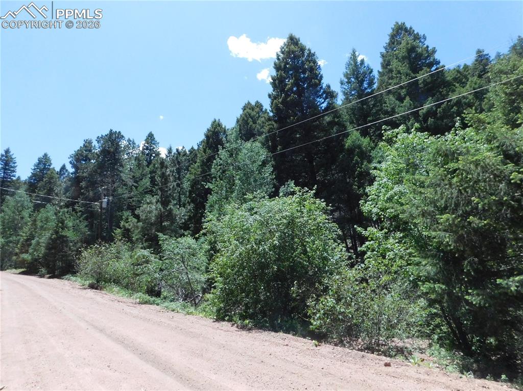 Image 12 of 23: No Description Available