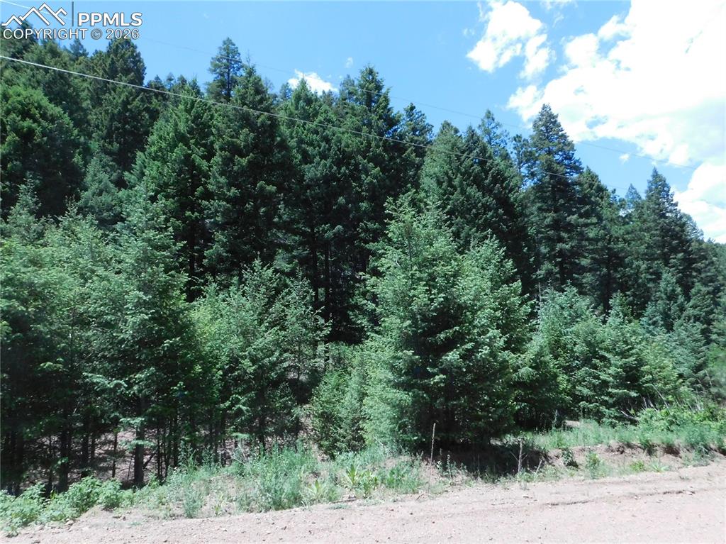 Image 13 of 23: No Description Available