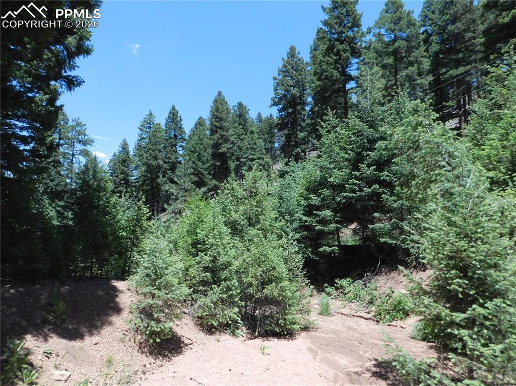 Image 14 of 23: No Description Available