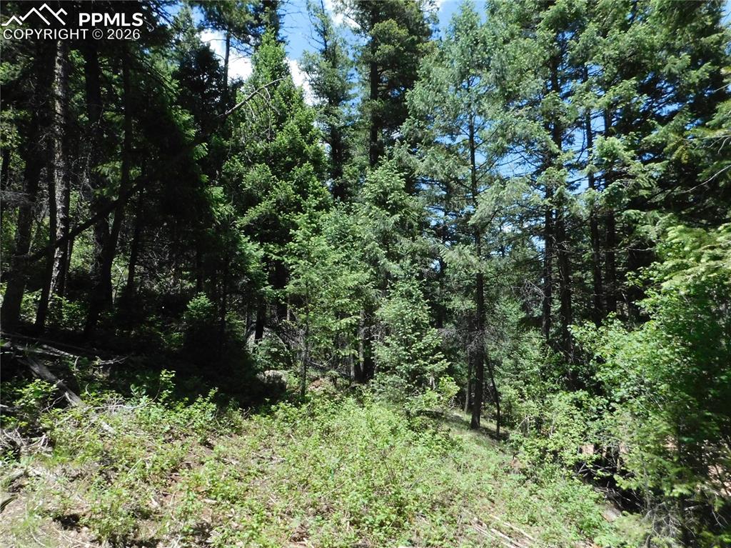 Image 15 of 23: No Description Available