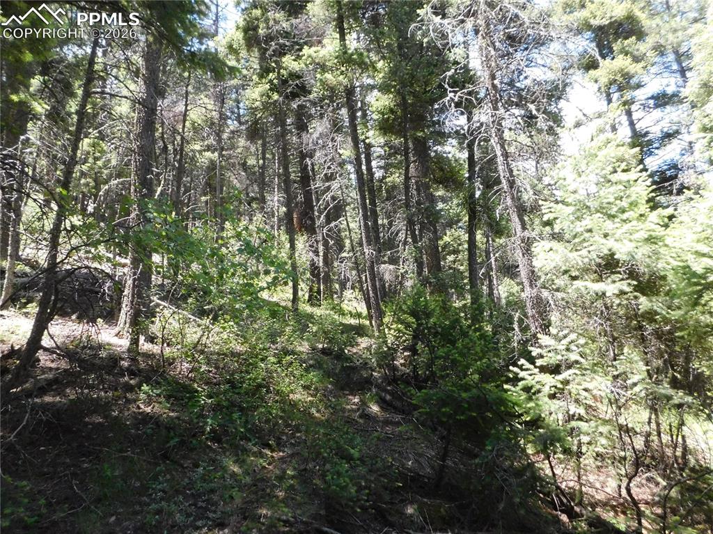 Image 16 of 23: No Description Available