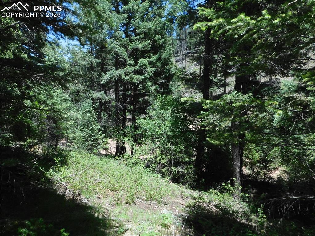 Image 18 of 23: No Description Available