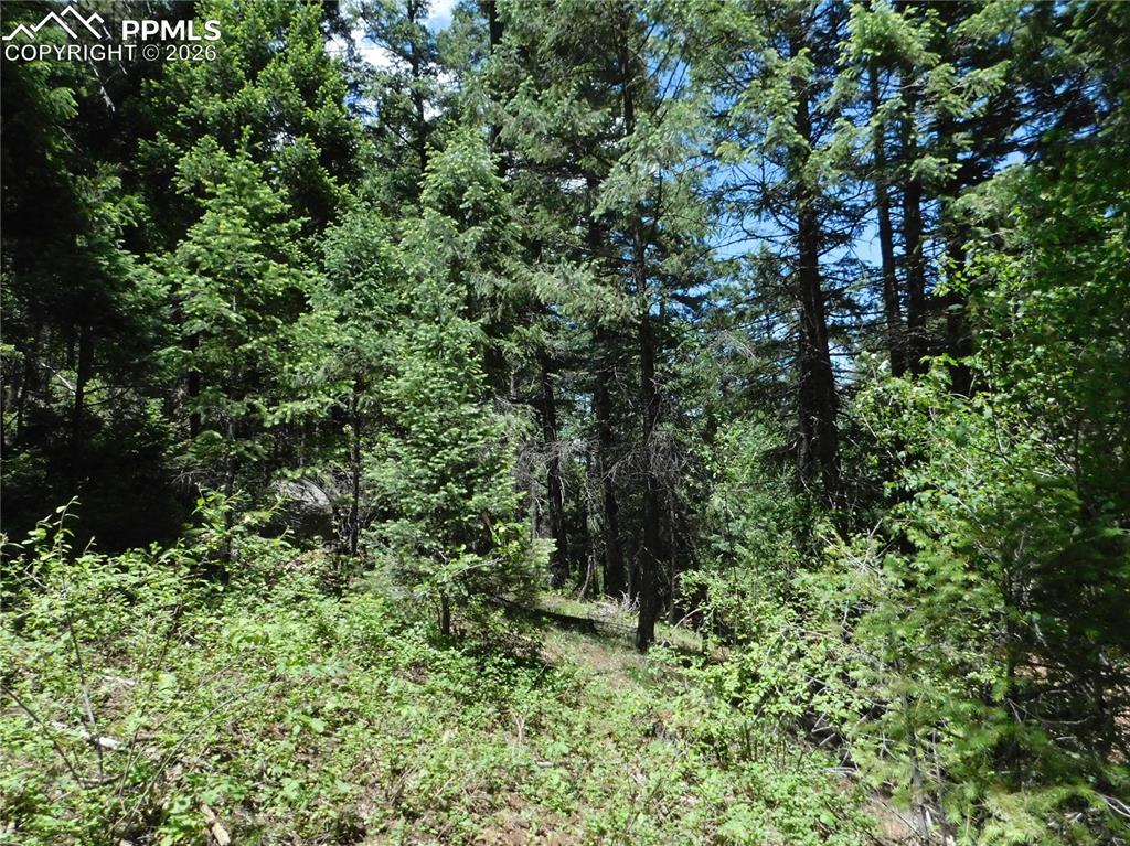 Image 19 of 23: No Description Available