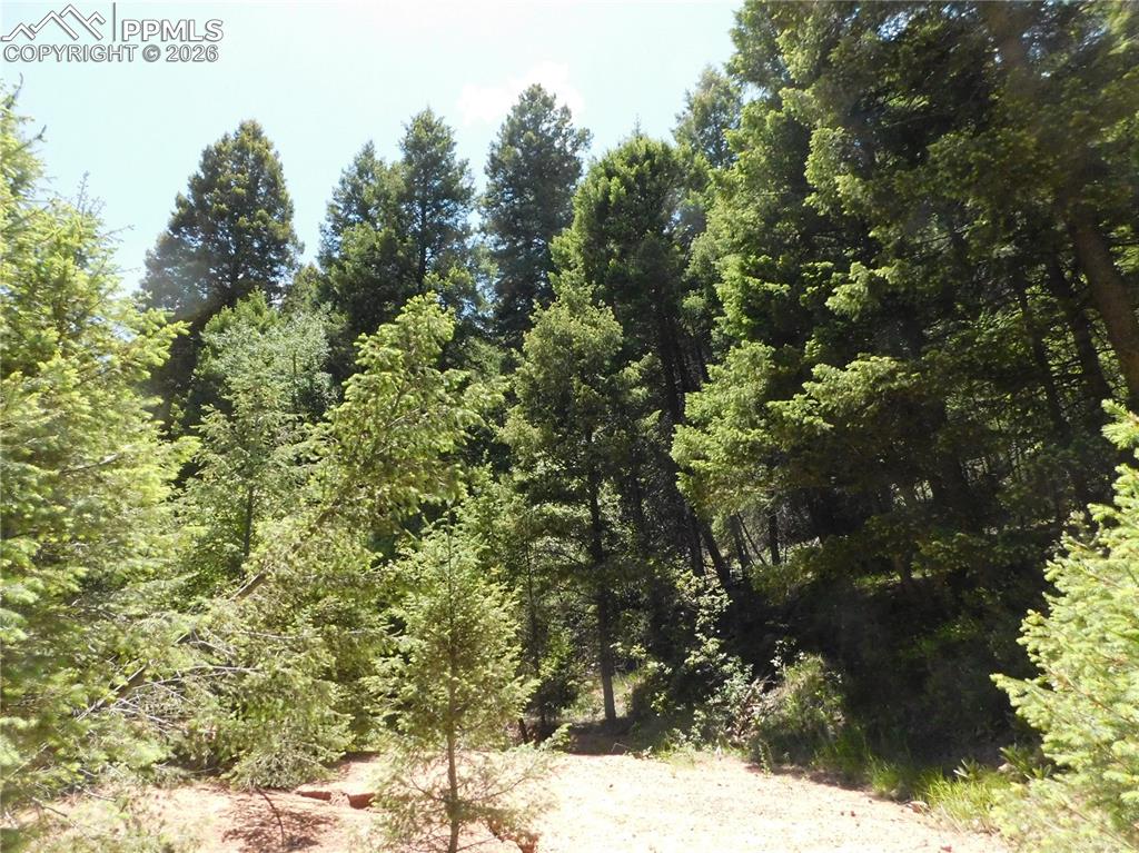 Image 20 of 23: No Description Available