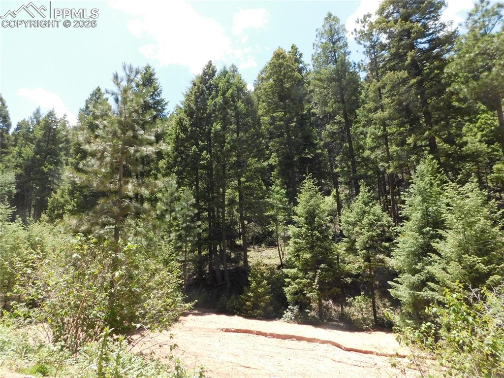 Image 3 of 23: No Description Available