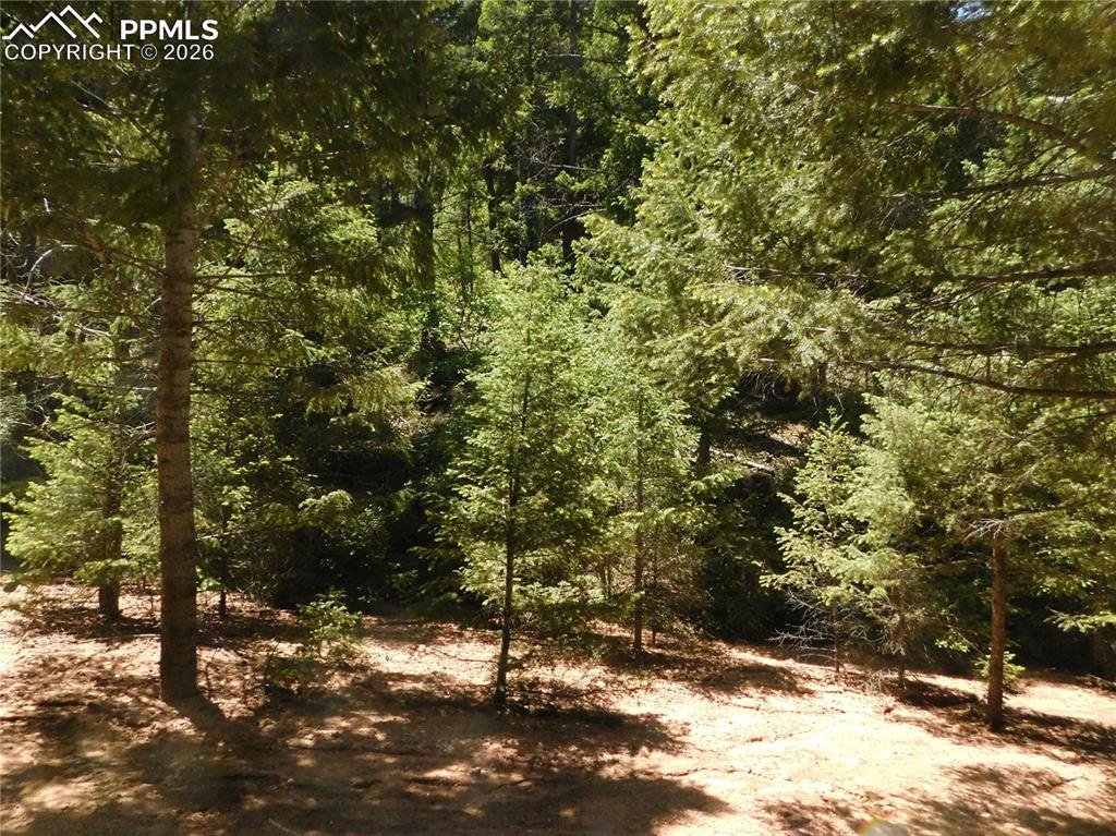 Image 4 of 23: No Description Available