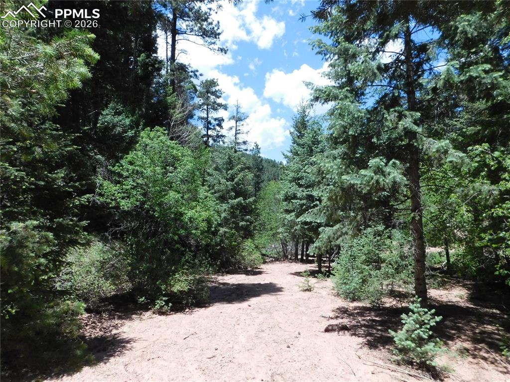 Image 5 of 23: No Description Available