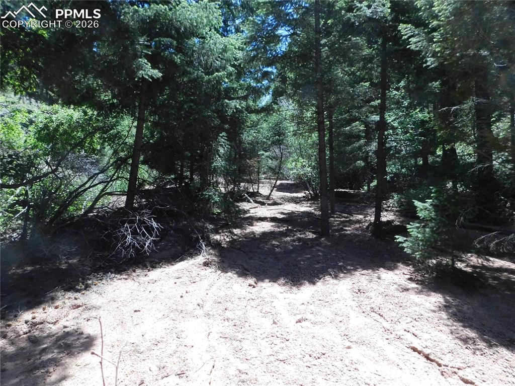 Image 6 of 23: No Description Available