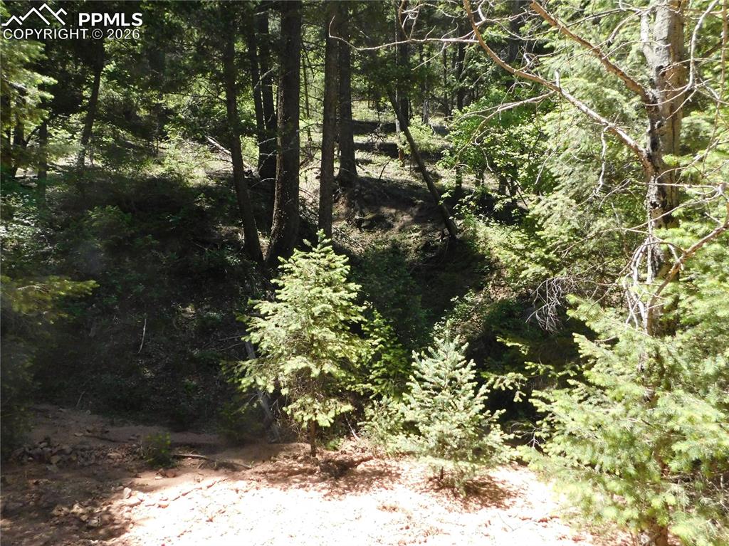 Image 7 of 23: No Description Available