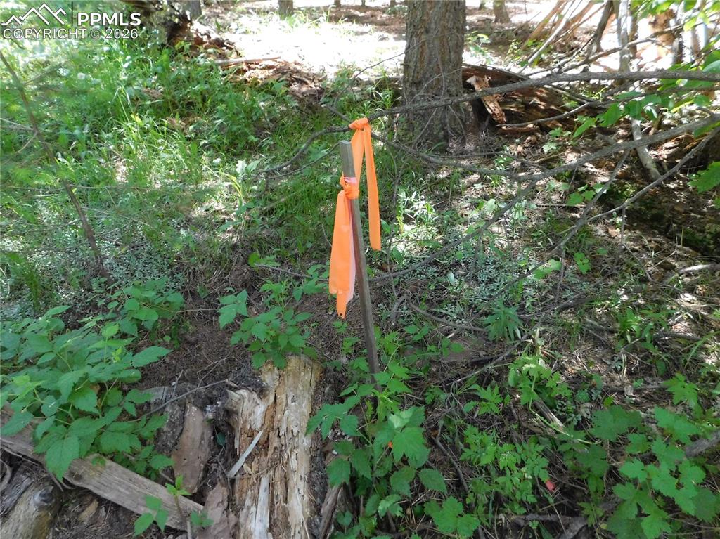 Image 9 of 23: No Description Available