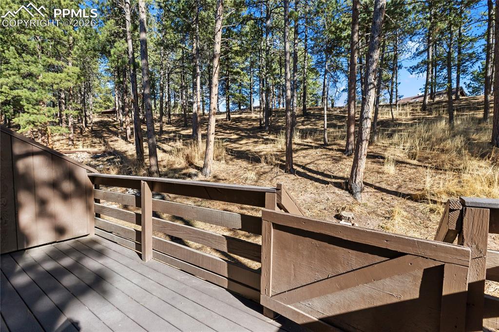 Image 25 of 27: The back deck with tall mature trees!