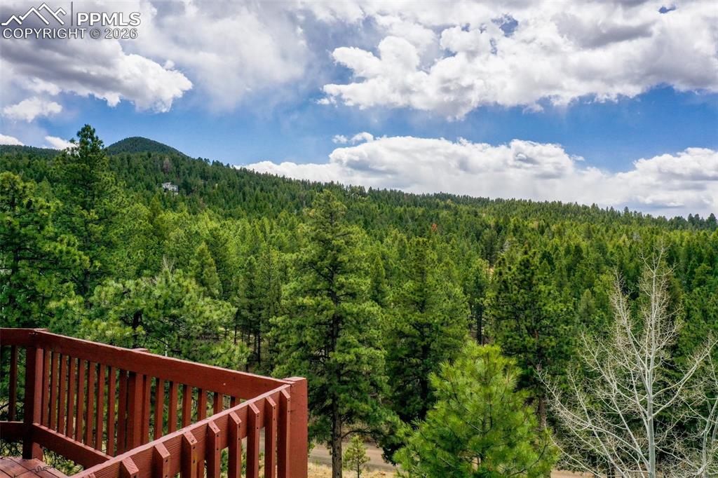 Image 25 of 26: View