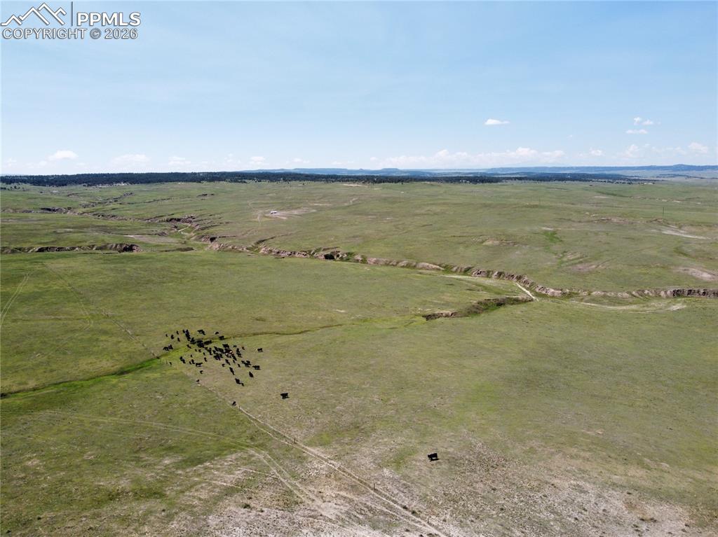 Image 3 of 8: Aerial View