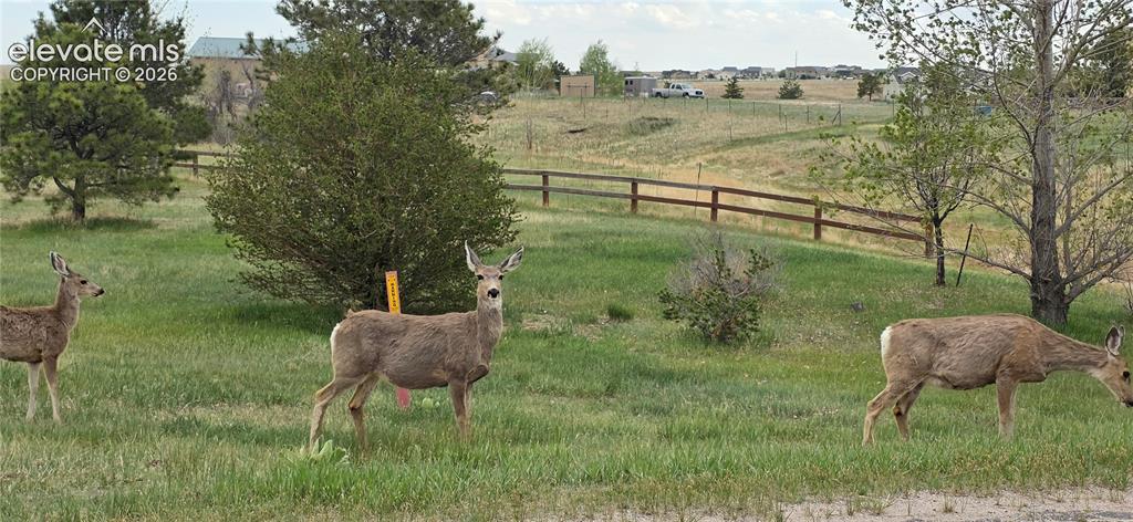 Image 45 of 48: Friends who drop by!