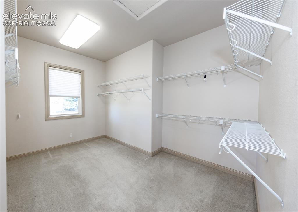 Image 22 of 50: Walk-in closet featuring carpet flooring, natural light from a window with