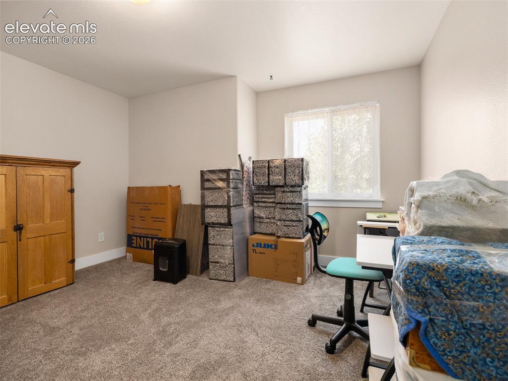 Image 14 of 21: Carpeted room with a window featuring white trim and a neutral paint palett