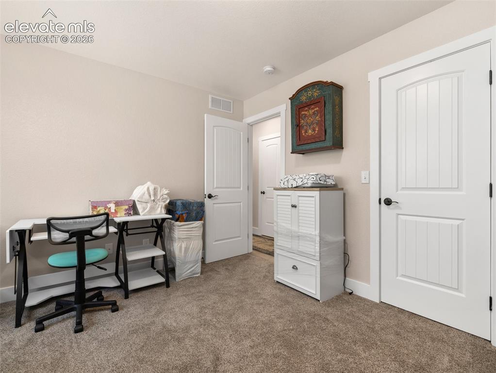 Image 15 of 21: Soft neutral wall color, plush carpet flooring, white trim, and white panel