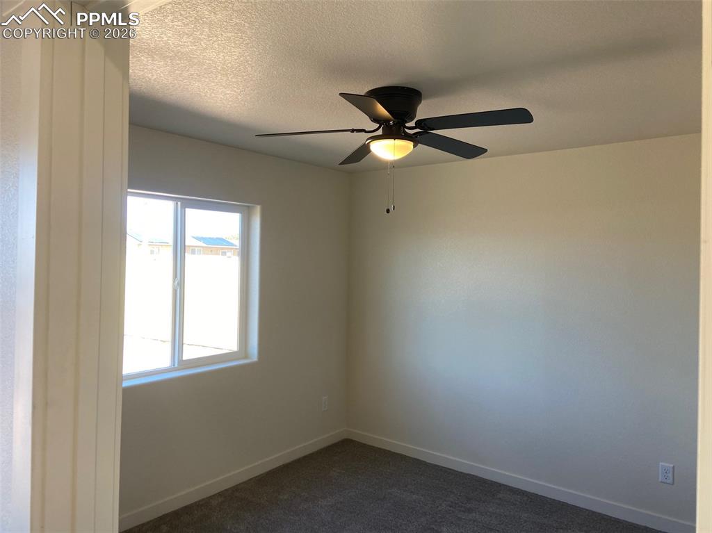 Image 19 of 29: Other