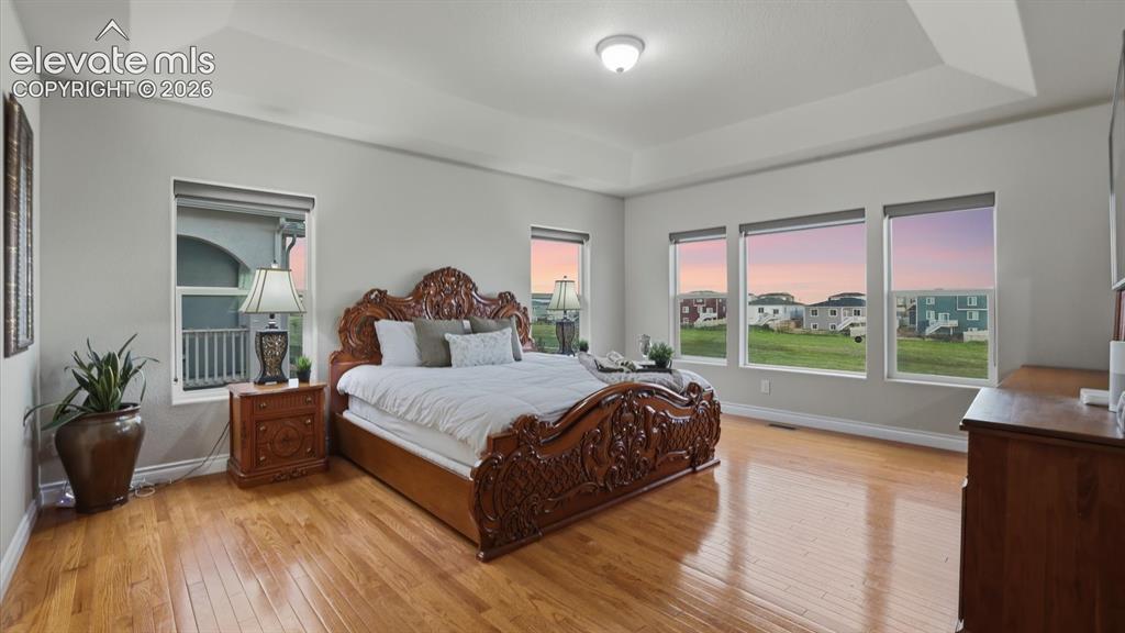 Image 28 of 50: The Primary Bedroom features a tray ceiling, rich hardwood floors, and a wa