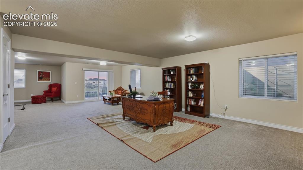 Image 8 of 50: Large, finished Basement with walk out to a covered patio.