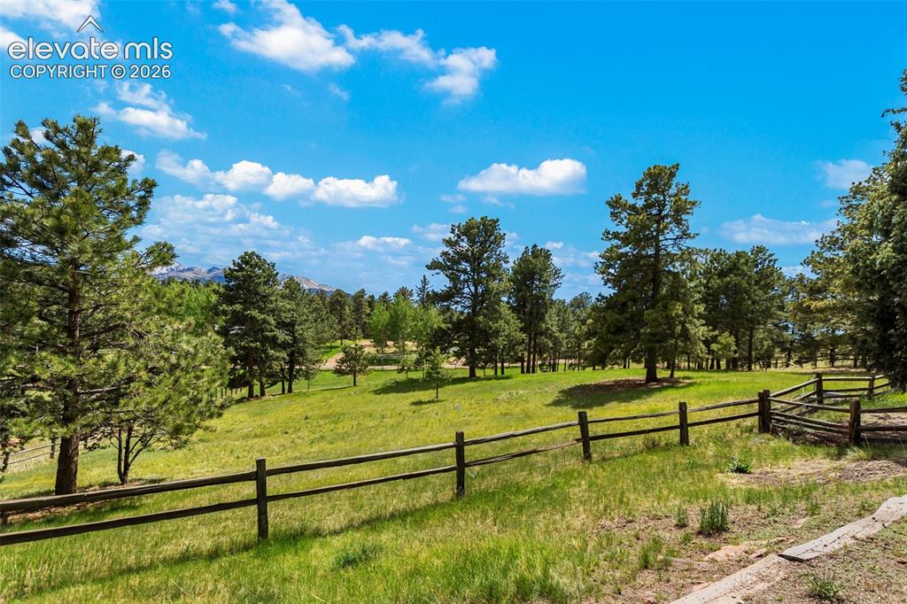 Image 10 of 36: Expansive natural landscape featuring lush green grass, numerous mature pin
