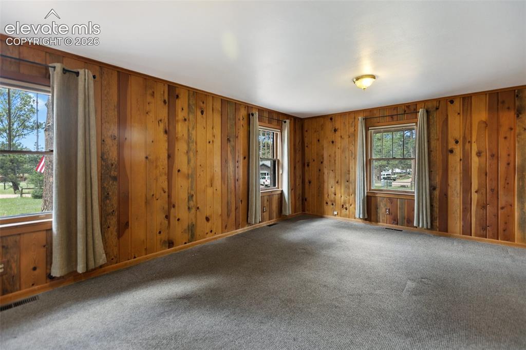 Image 27 of 36: Room featuring wood paneling, carpeted flooring, multiple windows, and a ce