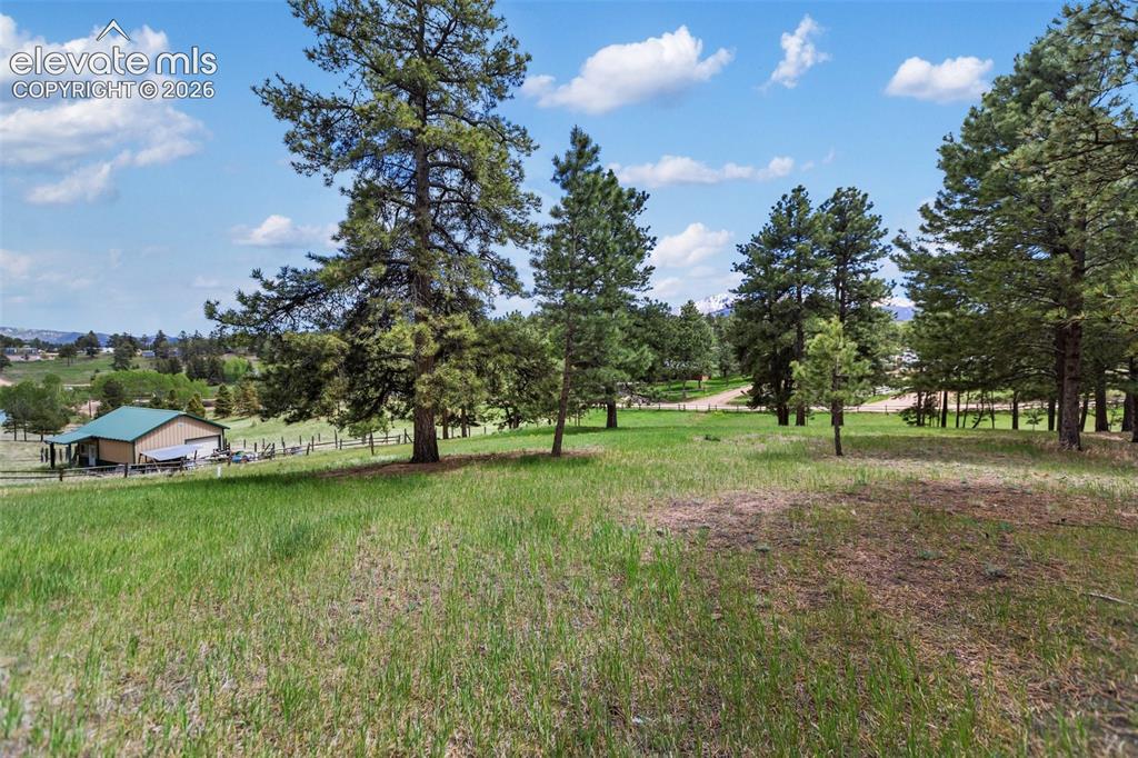 Image 7 of 36: Expansive grassy terrain featuring established trees