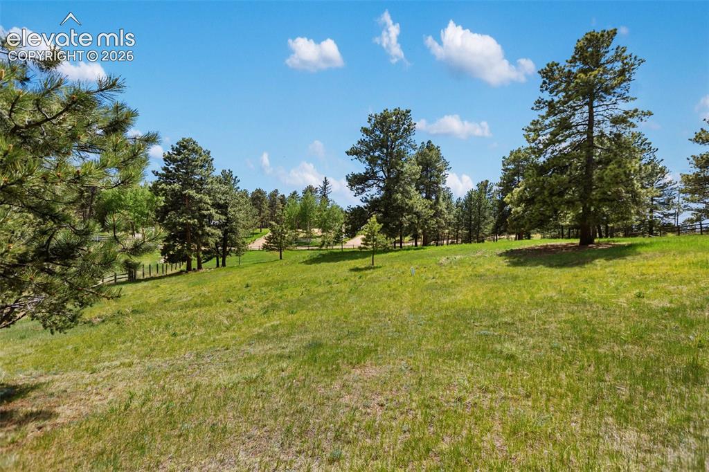 Image 9 of 36: Expansive grassy terrain with mature evergreen trees, a partial wood fence