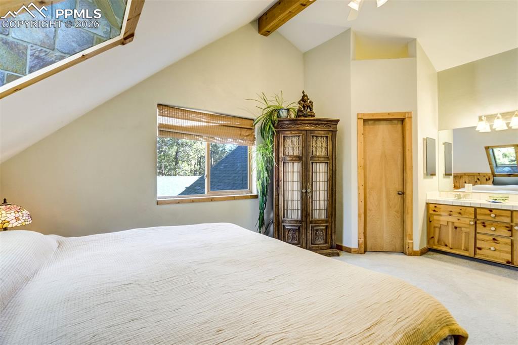 Image 21 of 45: Primary bedroom with large walk-in closet, skylight, ensuite bath