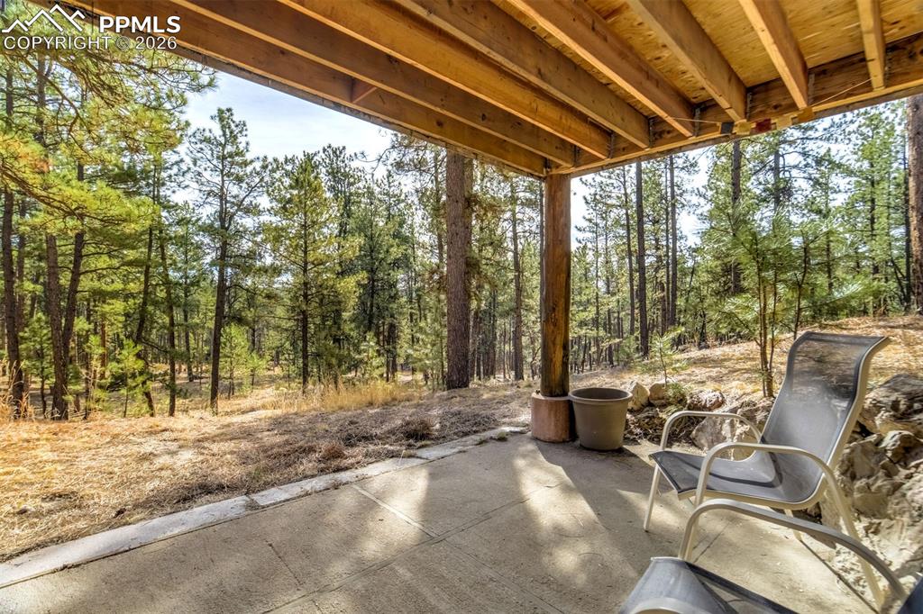 Image 36 of 45: Walk out from basement view of patio / terrace