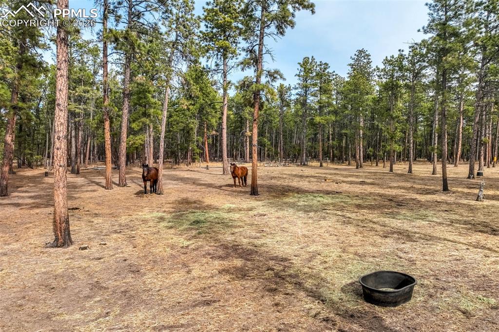Image 41 of 45: View of pasture, fenced in and zoned and set up for horses
