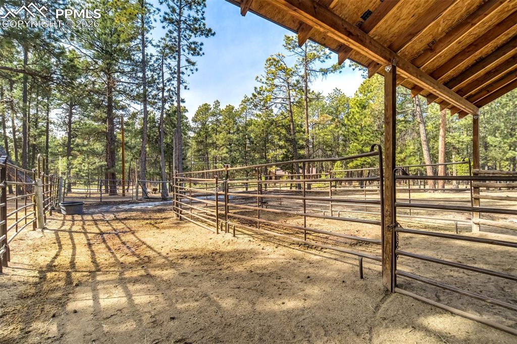 Image 42 of 45: View from horse barn