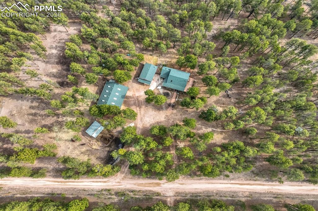 Image 43 of 45: Bird