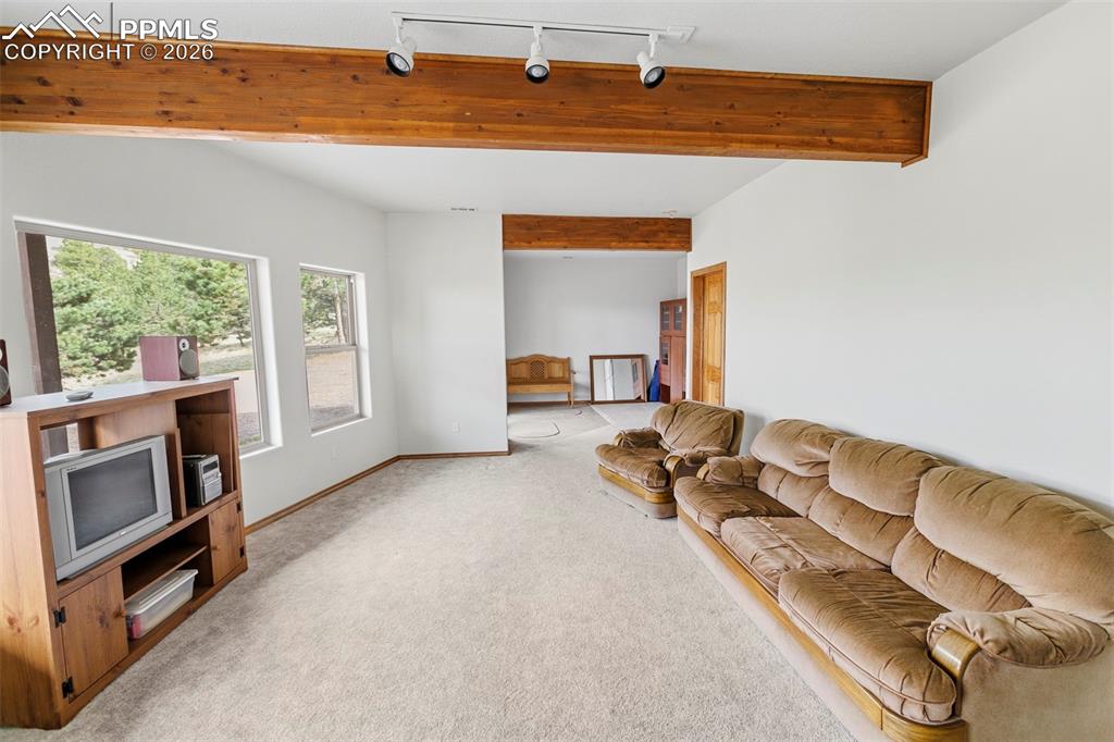Image 18 of 28: Lower Level Family Room