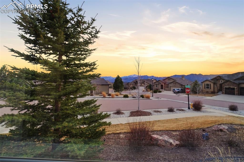 Image 42 of 48: Yard