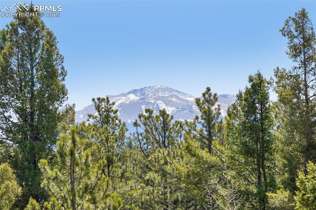 Image 4 of 33: View