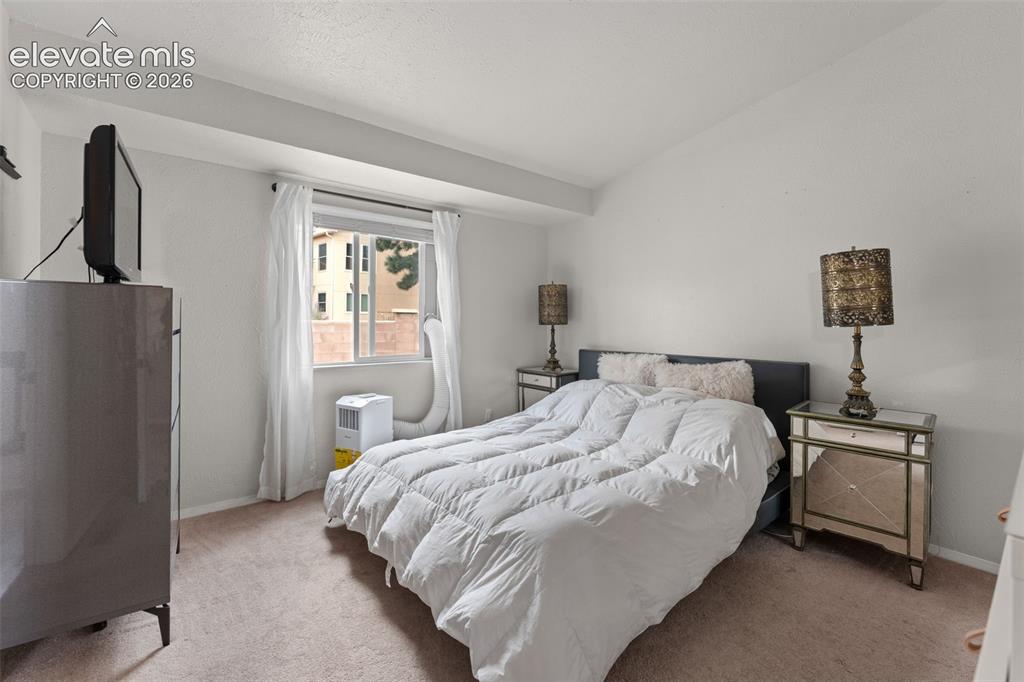 Image 17 of 28: Wall-to-wall carpeting with a bright window
