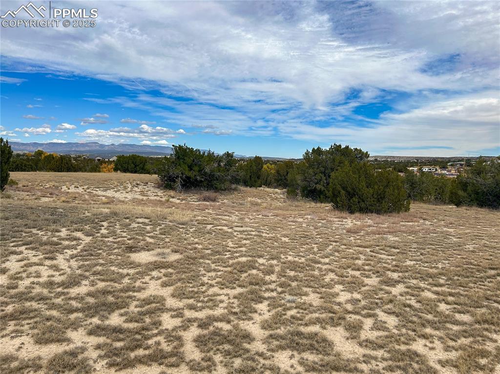 Image 10 of 11: Other