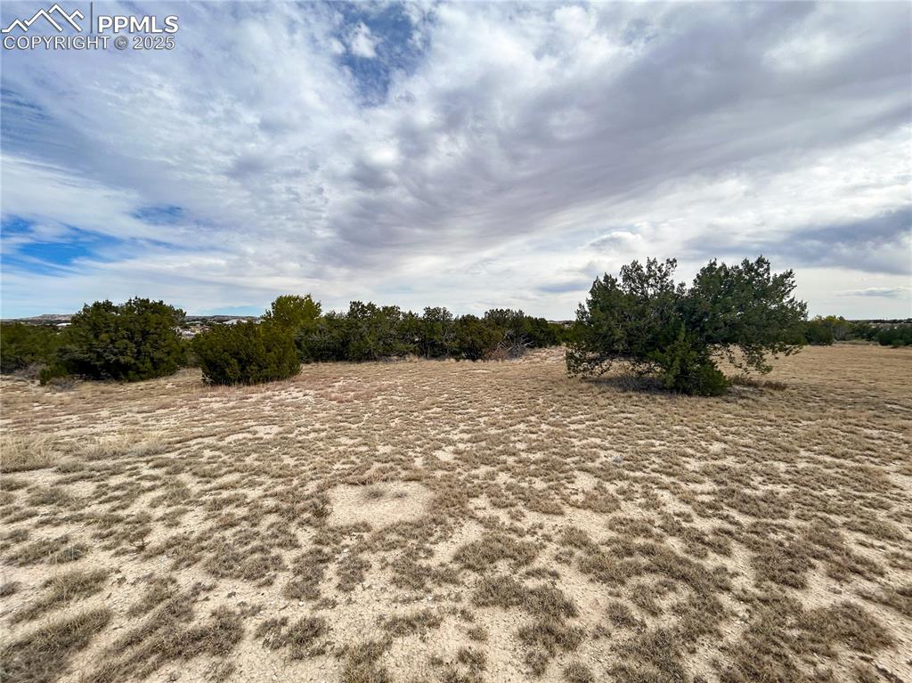 Image 11 of 11: Other