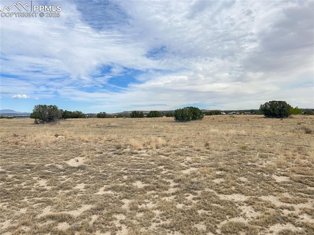 Image 4 of 11: Other