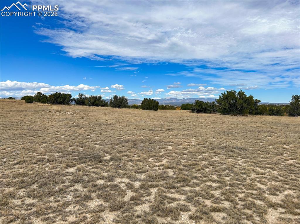 Image 6 of 11: Other